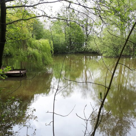 Keele Boggs Pools